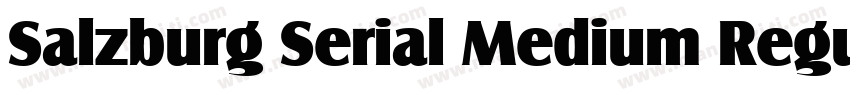 Salzburg Serial Medium Regular字体转换